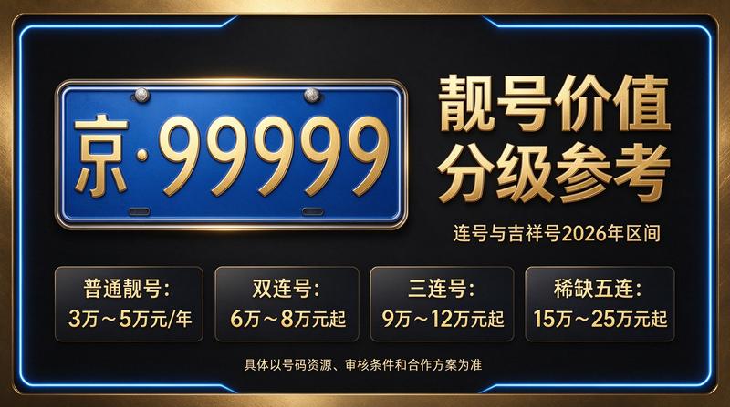 闲置北京指标京牌大的出租公司展示图片